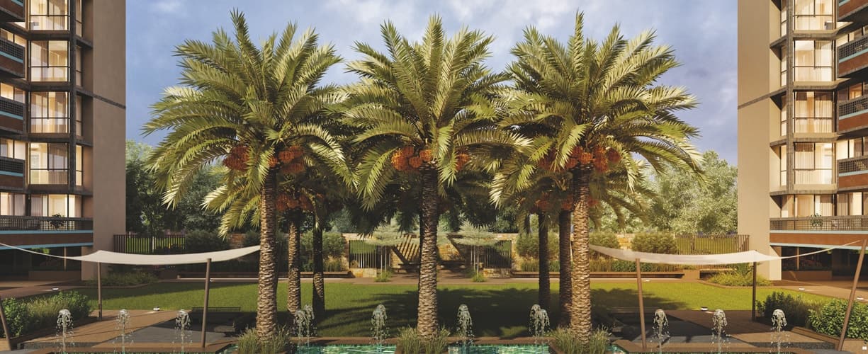 Date palms and shaded seating across the landscaped court